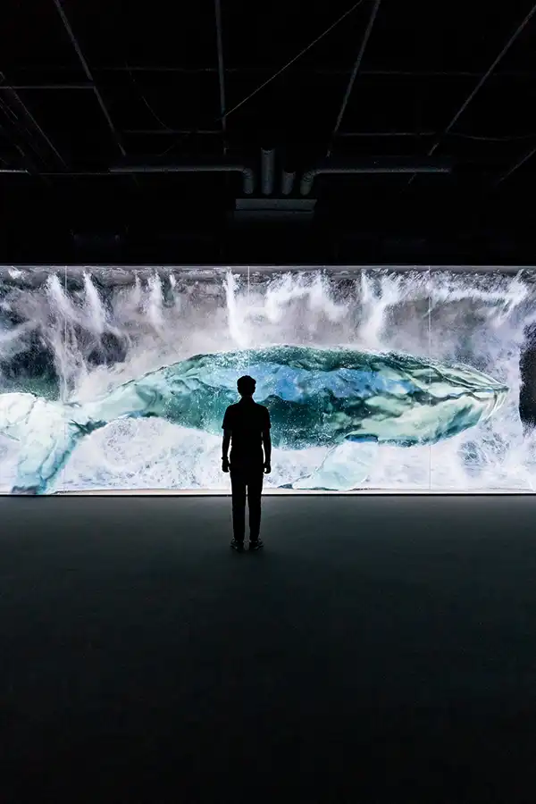 67a070342714d575954fcbdb_WHALE