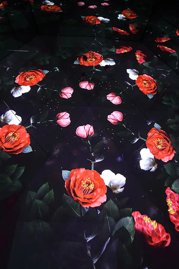 67a0711788fcb6b1a1e148f7_FLOWER CAMELLIA_UNDERWATER